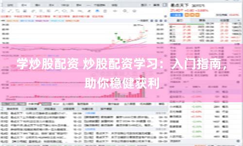 学炒股配资 炒股配资学习：入门指南，助你稳健获利