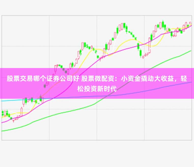 股票交易哪个证券公司好 股票微配资：小资金撬动大收益，轻松投资新时代