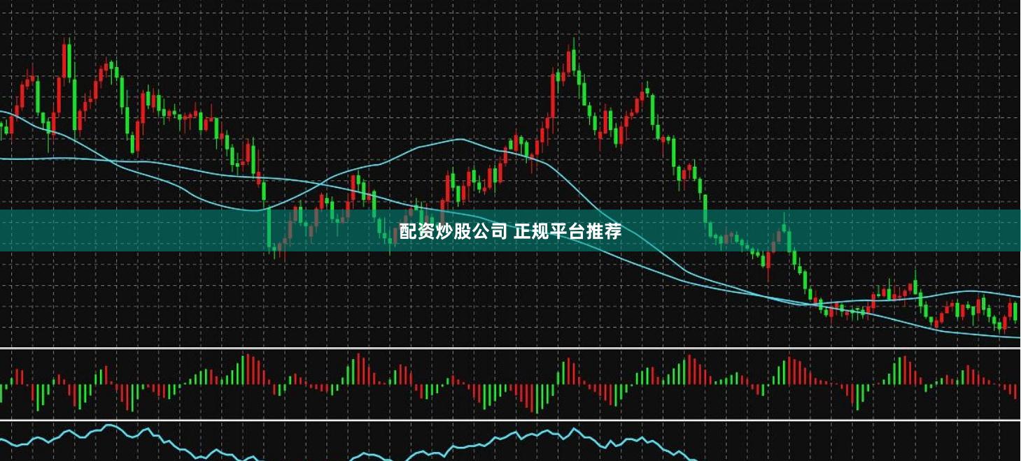 配资炒股公司 正规平台推荐